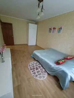 Фото гостя 9 — Квартира двухкомнатная в Сормовском, 50 м², Нижний Новгород