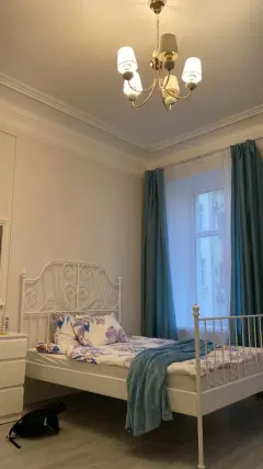 Фото гостя 8 — Квартира трёхкомнатная у Маяковской, в Центральном, 120 м², Санкт-Петербург